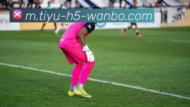 万博体育平台生态图