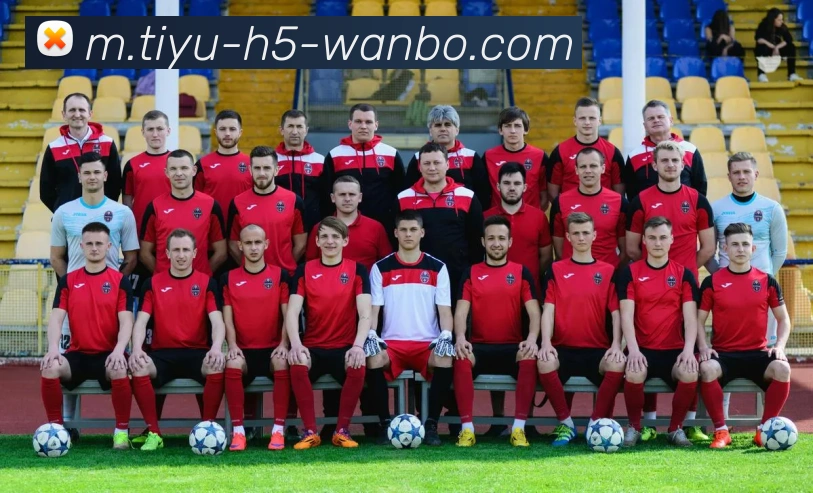 万博体育APP 封面图